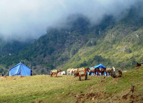 Bumdra Trek in Paro