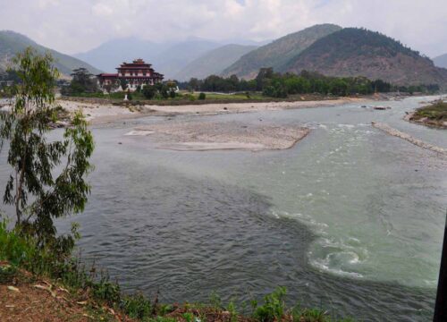 Punakha Festival Tour