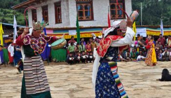 Masutake Mushroom Festival