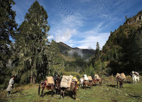 Druk Path Trek 2 Route/Tshaluna Trek