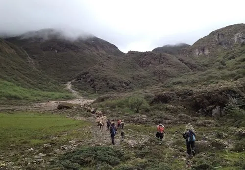 Salt Trek