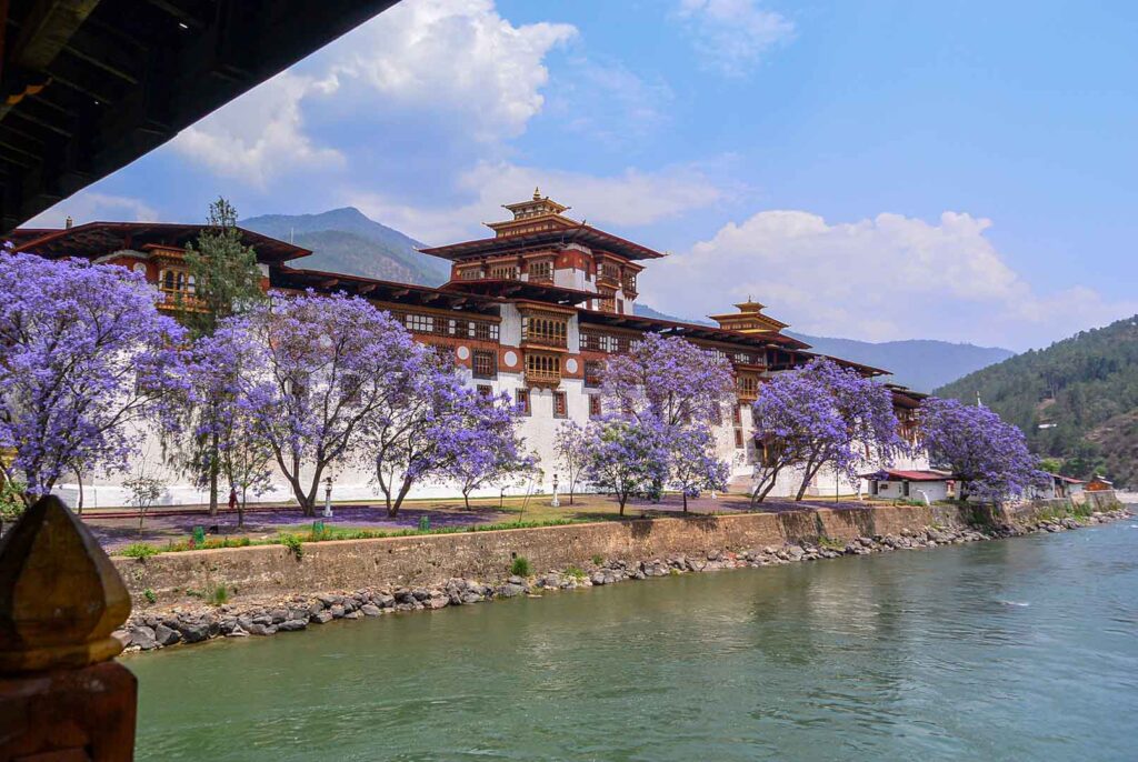 Punakha Dzong spring view from Bridge. Things to do in Bhutan