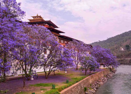 Bhutan Tour in October