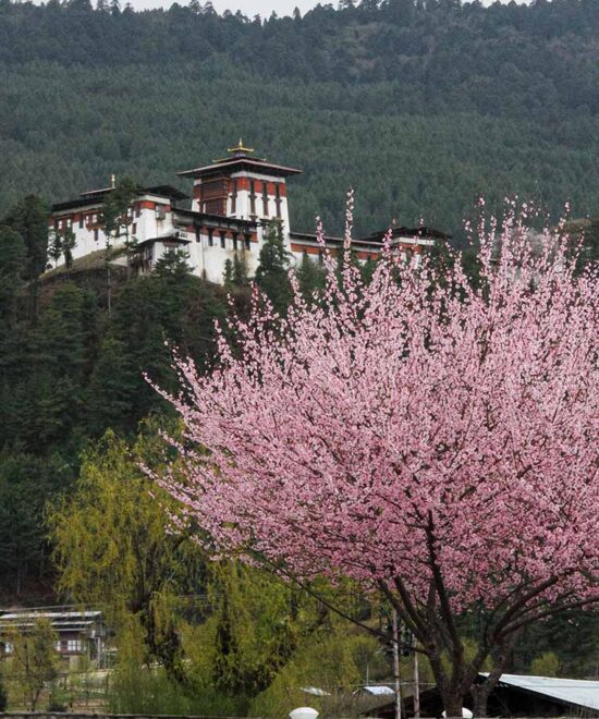 Jakar Dzong