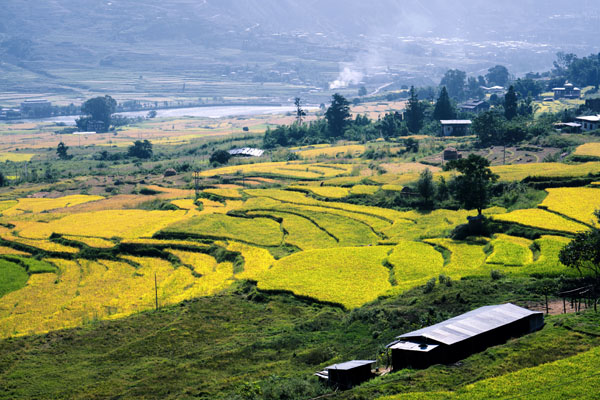 Punakha Travel Guide