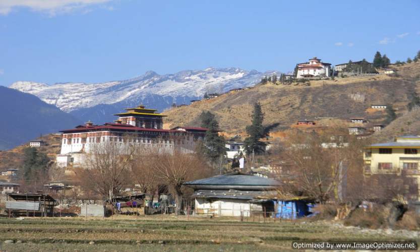 Paro during march season