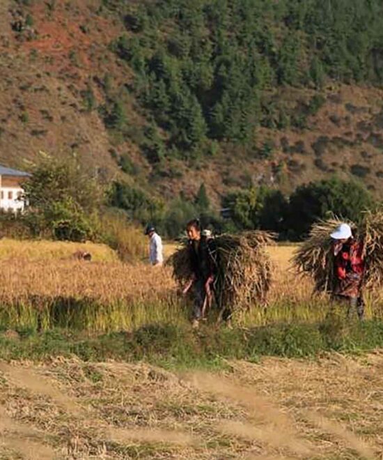 Bhutan Weather and Temperature in October