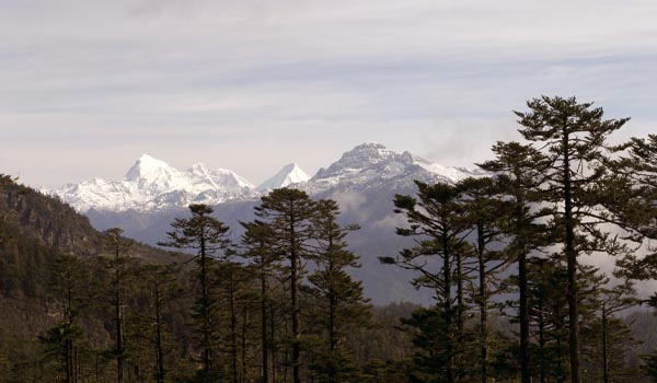 View of Jomolhari Mountain during Rigsum Goenpa trek