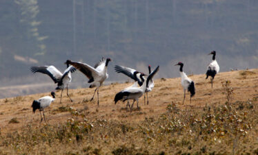 12 days Bhutan Tour Packages and Itinerary