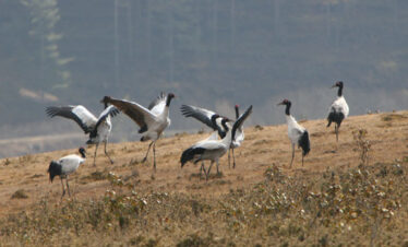 Wangduephodrang Tourism Guide