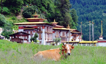 Royal Heritage Trek in Bhutan