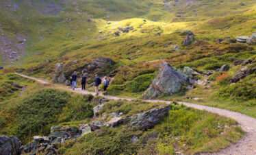 Bumthang owl trek costing and detailed itinerary