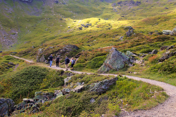 Bumthang Owl Trek