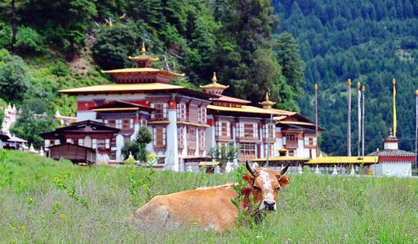 Bumthang Kurjey lhakhang