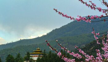 8 Days Bhutan Tour