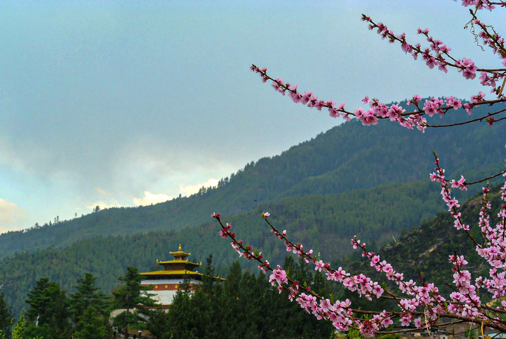 Changangkha Lhakhang​