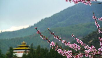 Bhutan Weather and Temperature in March