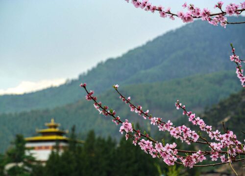 Bhutan Weather and Temperature in March