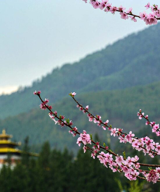 Bhutan Weather and Temperature in March