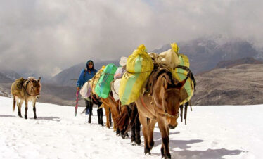 Gangjula Trekking itinerary and costing