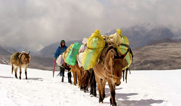 Gangjula Trek