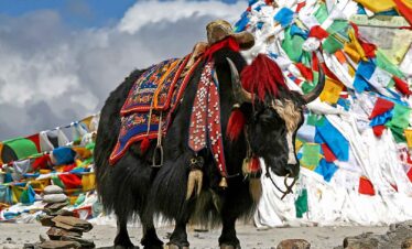 Druk Path Trek in Bhutan