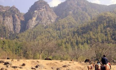 Tiger Nest Trekking trail