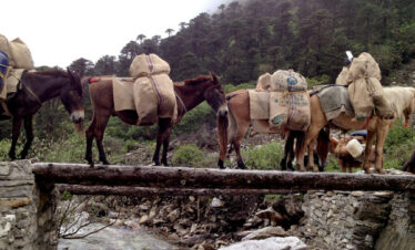 Jumolhari Mountain Festival Tour Packages.