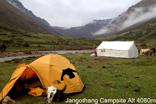 Day 4 halt at Jangothang Campsite