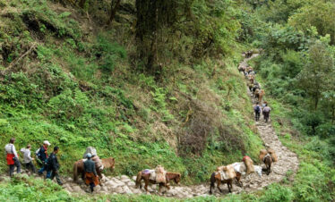 Laya Gasa Trek Costing and itinerary