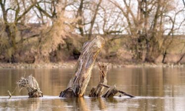 Manas River duirng manas Tour in southern Bhutan