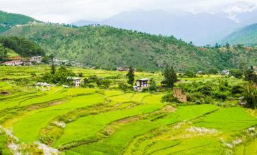Crane festival in Phobjikha valley in wangdi