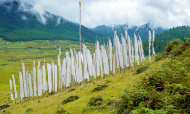 The Black necked crane festival in Gangtey is held every year on 11th november