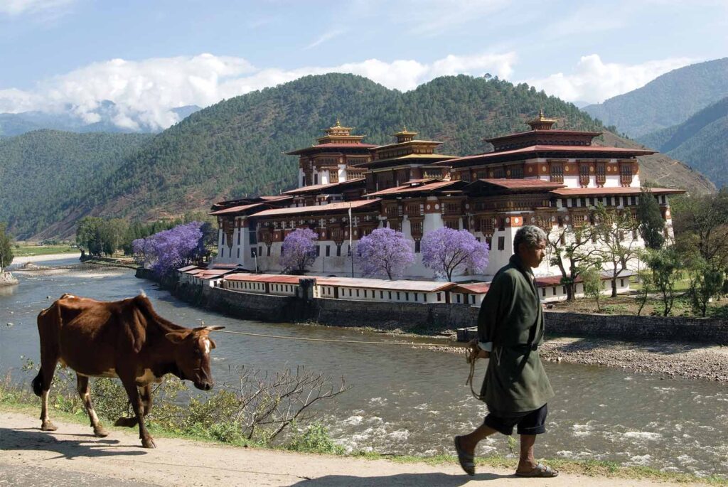 View of Punakha Dzong during 6 days Bhutan Tour