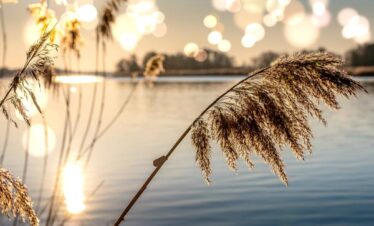 Beautifull views of river duirng Manas Tour