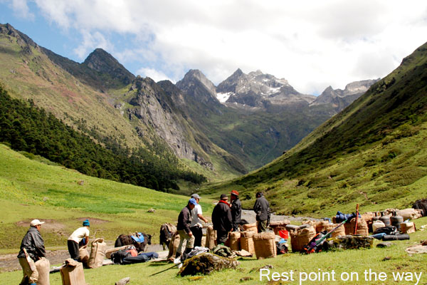 Resting point during the Laya Gasa Trek