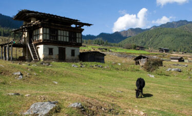Black Necked Crane festival Bhutan offers you the best of Wangdi and Paro valley