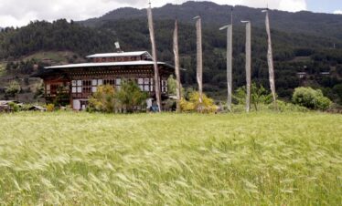 Homestay in Trashi Yangtse