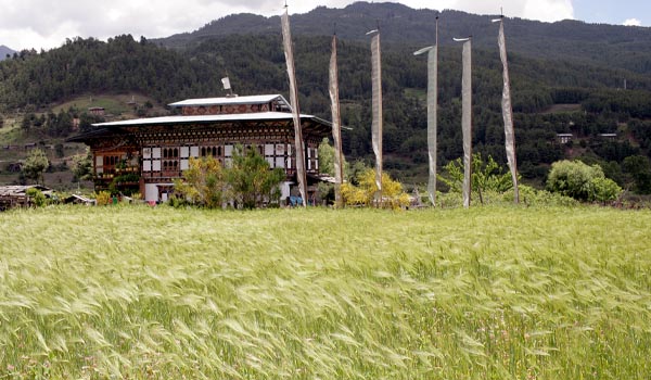 Homestay in Trashi Yangtse