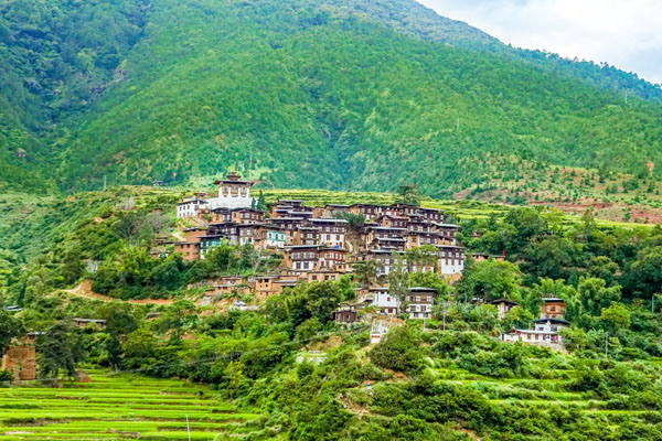 Gangtey Trekking detail itinerary and cost