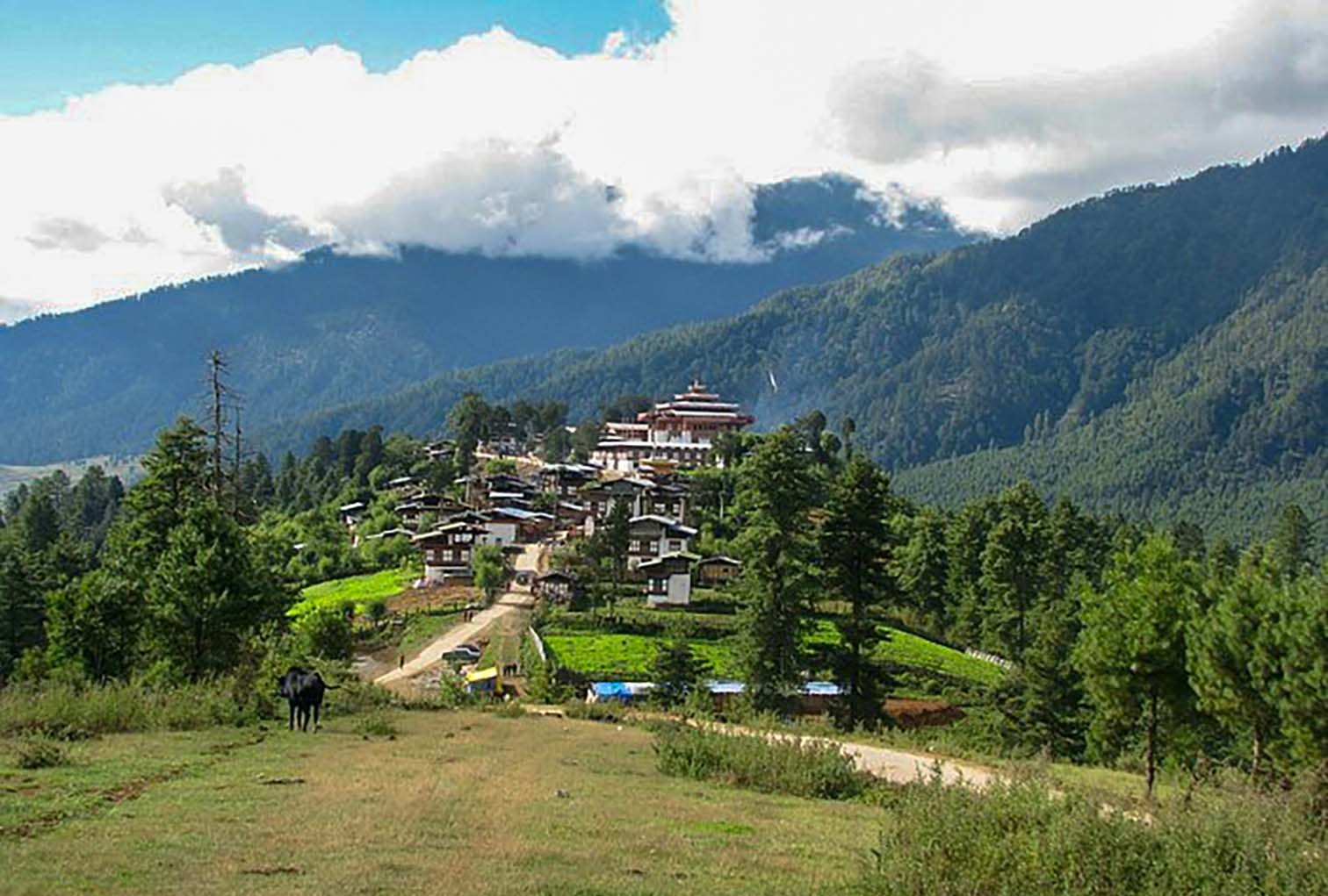 Bhutan Holidays: 6 days