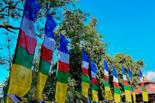 Visit Bhutan in February