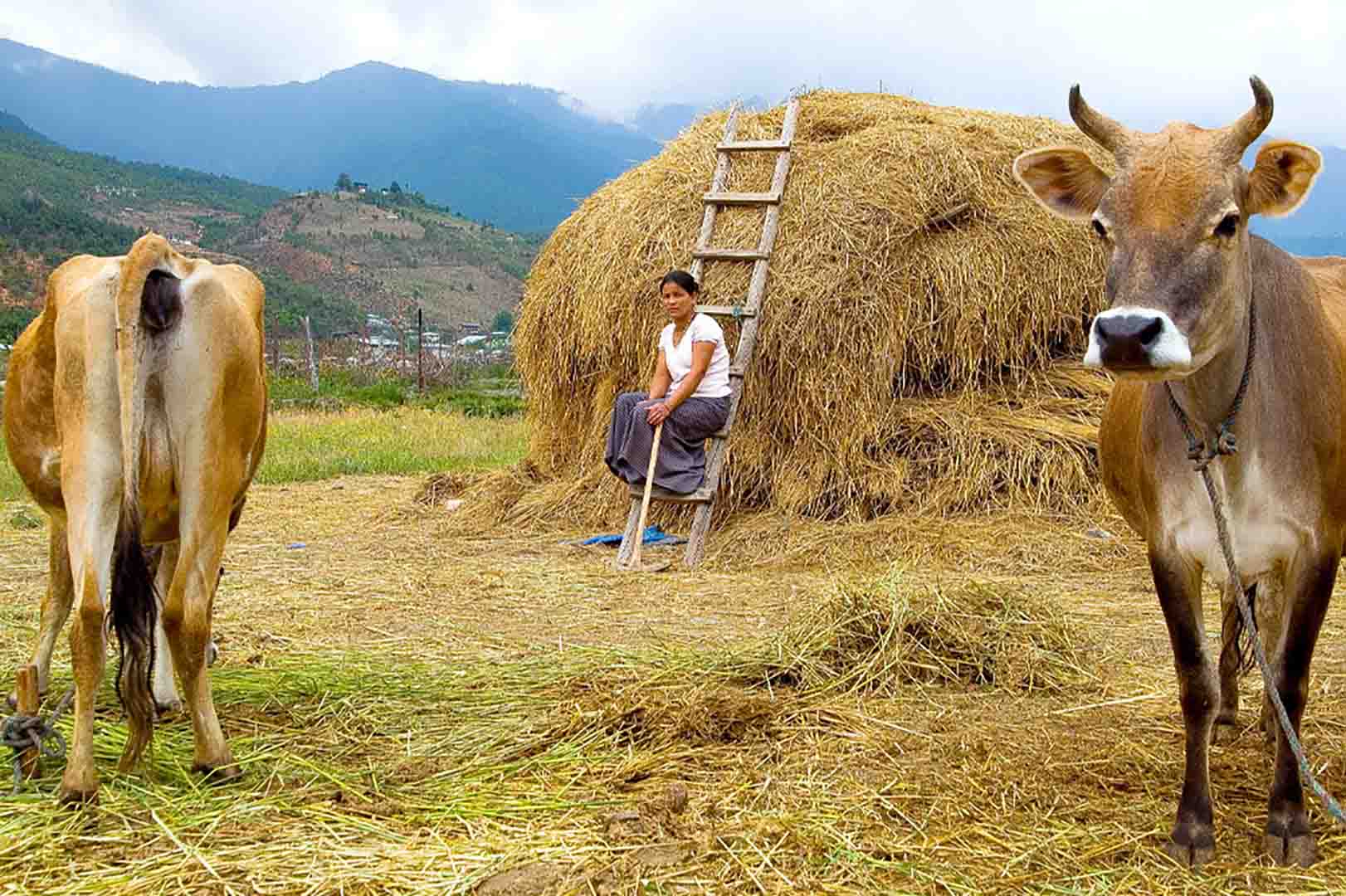 11 days Bhutan Cultural Tour