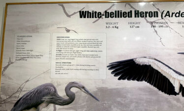 5 Days Bhutan Birding Tour itinerary and costing