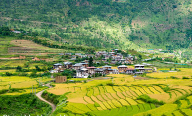 visit Chimi Lhakhang during Tharpaling Festival.