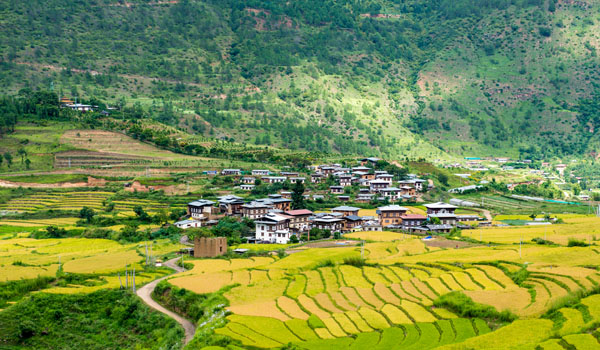 Chimi Lhakhang View from Lobesa