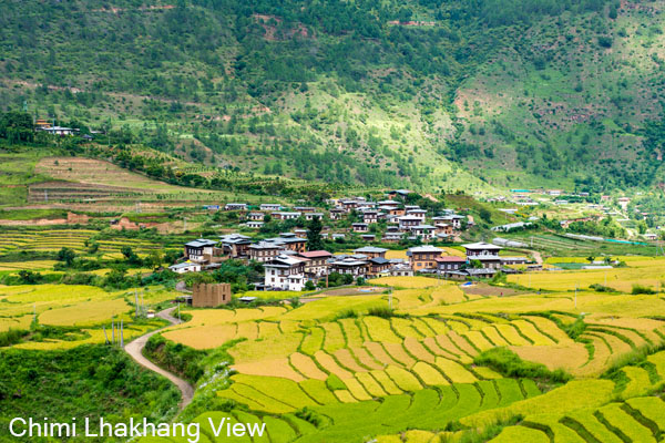 Chimi Lhakhang View