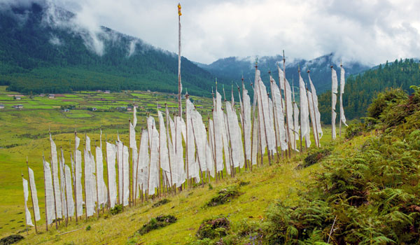 Gangtey Valley