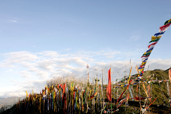 Fluttering Prayer flags at Chelela Pass