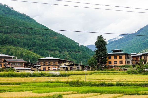 Paro Valley